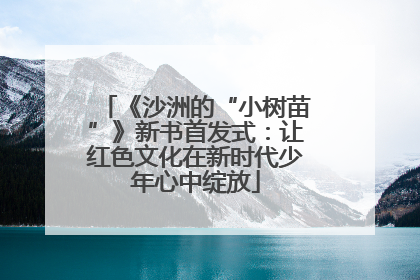 《沙洲的“小树苗”》新书首发式：让红色文化在新时代少年心中绽放