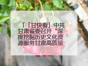 「甘快看」中共甘肃省委召开“深度挖掘历史文化资源服务甘肃高质量发展”专题协商座谈会 胡昌升主持并讲话