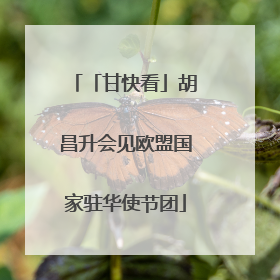 「甘快看」胡昌升会见欧盟国家驻华使节团