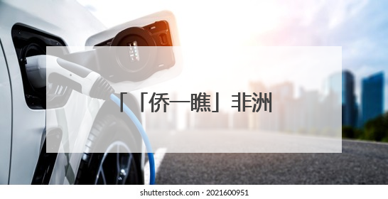 「侨一瞧」非洲日狂欢！他们用色彩“定义”非洲