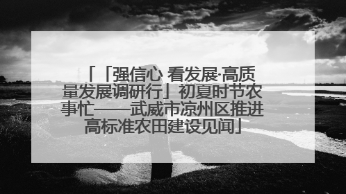 「强信心 看发展·高质量发展调研行」初夏时节农事忙——武威市凉州区推进高标准农田建设见闻