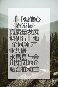 「强信心 看发展·高质量发展调研行」地企同频 产业共振——永昌县与金川集团地企融合推动重大项目建设