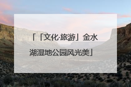 「文化·旅游」金水湖湿地公园风光美