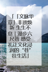「文脉华章」非遗焕新 生生不息｜漫步六尺巷 感受礼让文化浸润的“巷”往生活