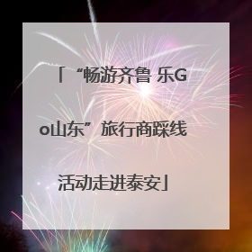 “畅游齐鲁 乐Go山东”旅行商踩线活动走进泰安