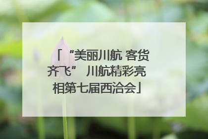 “美丽川航 客货齐飞” 川航精彩亮相第七届西洽会