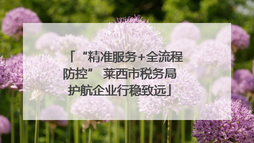 “精准服务+全流程防控” 莱西市税务局护航企业行稳致远
