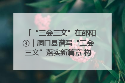 “三会三文”在邵阳③｜洞口县谱写“三会三文”落实新篇章 构建协同联动大格局