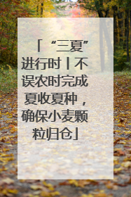 “三夏”进行时丨不误农时完成夏收夏种，确保小麦颗粒归仓