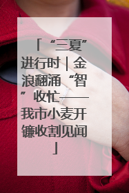 “三夏”进行时｜金浪翻涌“智”收忙——我市小麦开镰收割见闻