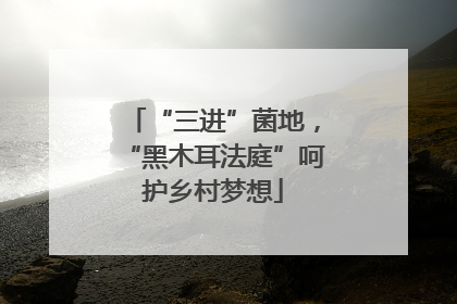 “三进”菌地，“黑木耳法庭”呵护乡村梦想