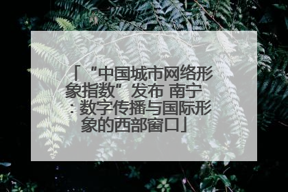 “中国城市网络形象指数”发布 南宁：数字传播与国际形象的西部窗口