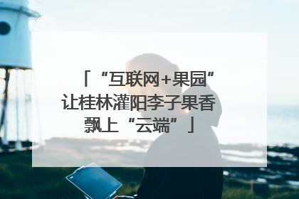 “互联网+果园”让桂林灌阳李子果香飘上“云端”