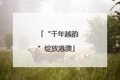 “千年越韵”绽放港澳