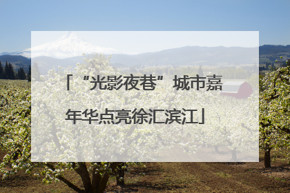 “光影夜巷”城市嘉年华点亮徐汇滨江
