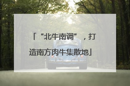 “北牛南调”，打造南方肉牛集散地