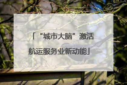 “城市大脑”激活航运服务业新动能