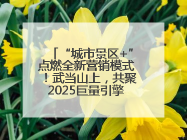 “城市景区+”点燃全新营销模式！武当山上，共聚2025巨量引擎城市生态大会！
