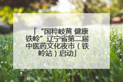 “国粹岐黄 健康铁岭”辽宁省第二届中医药文化夜市（铁岭站）启动