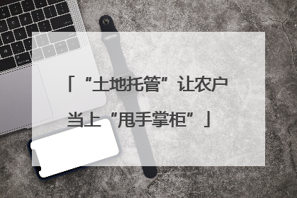 “土地托管”让农户当上“甩手掌柜”