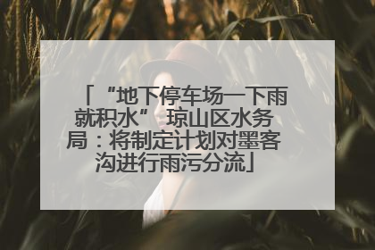 “地下停车场一下雨就积水” 琼山区水务局：将制定计划对墨客沟进行雨污分流