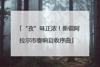 “孜”味正浓！新疆阿拉尔市奏响夏收序曲