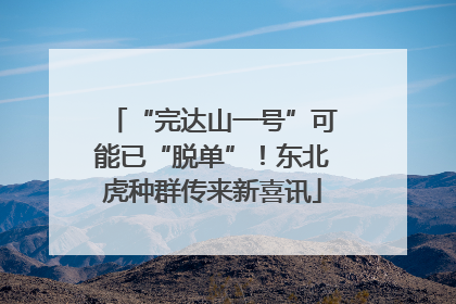 “完达山一号”可能已“脱单”！东北虎种群传来新喜讯