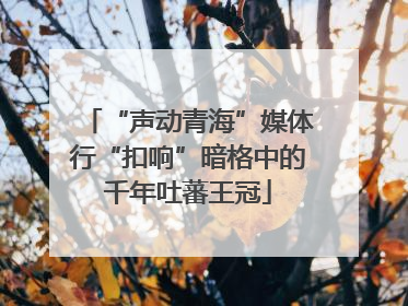 “声动青海”媒体行“扣响”暗格中的千年吐蕃王冠