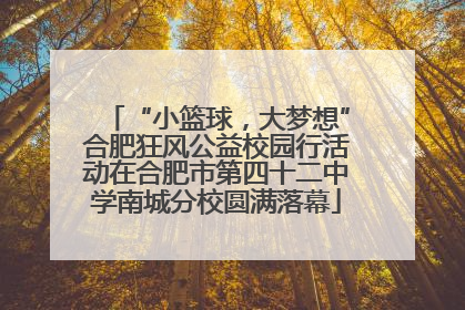 “小篮球，大梦想”合肥狂风公益校园行活动在合肥市第四十二中学南城分校圆满落幕