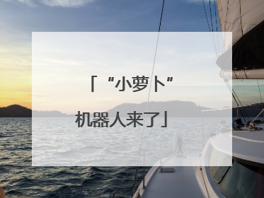 “小萝卜”机器人来了