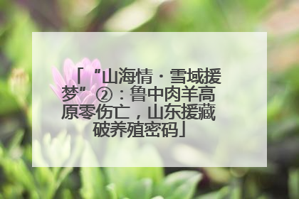 “山海情・雪域援梦”②：鲁中肉羊高原零伤亡，山东援藏破养殖密码
