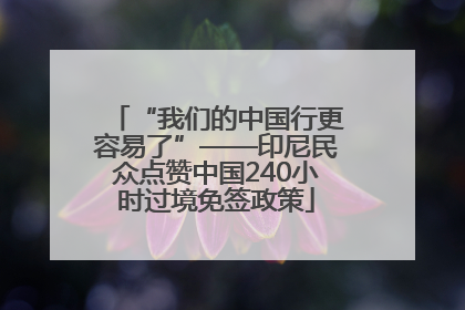 “我们的中国行更容易了”——印尼民众点赞中国240小时过境免签政策