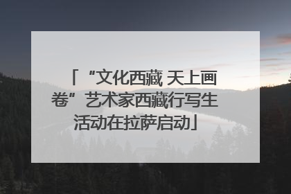 “文化西藏 天上画卷”艺术家西藏行写生活动在拉萨启动