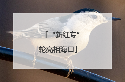 “新红专”轮亮相海口