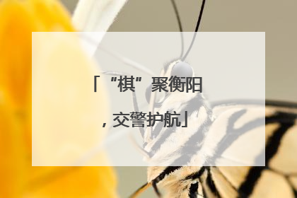 “棋”聚衡阳，交警护航