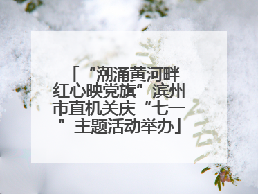 “潮涌黄河畔 红心映党旗”滨州市直机关庆“七一”主题活动举办