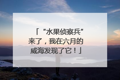 “水果侦察兵”来了，我在六月的威海发现了它！