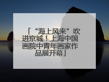 “海上风来”吹进京城！上海中国画院中青年画家作品展开幕
