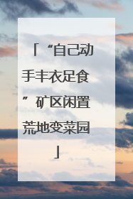 “自己动手丰衣足食”矿区闲置荒地变菜园