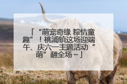“萌宠奇缘 粽情童趣”！桃浦镇这场迎端午、庆六一主题活动“萌”翻全场～