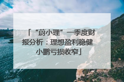 “蔚小理”一季度财报分析：理想盈利稳健 小鹏亏损收窄