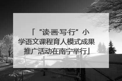 “读·画·写·行”小学语文课程育人模式成果推广活动在南宁举行