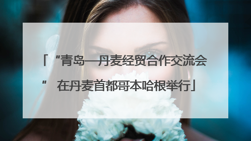 “青岛—丹麦经贸合作交流会” 在丹麦首都哥本哈根举行