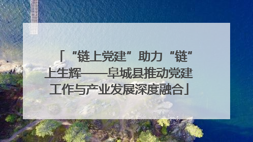 “链上党建”助力“链”上生辉——阜城县推动党建工作与产业发展深度融合