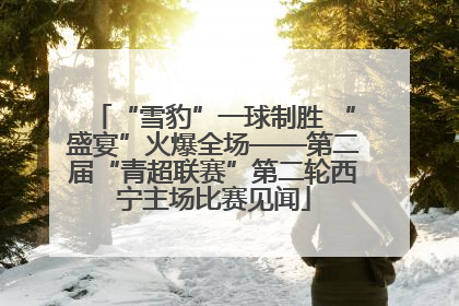 “雪豹”一球制胜 “盛宴”火爆全场——第二届“青超联赛”第二轮西宁主场比赛见闻