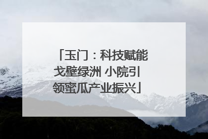 玉门：科技赋能戈壁绿洲 小院引领蜜瓜产业振兴