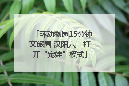 环动物园15分钟文旅圈 汉阳六一打开“宠娃”模式