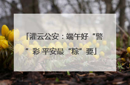 灌云公安：端午好“警”彩 平安最“粽”要