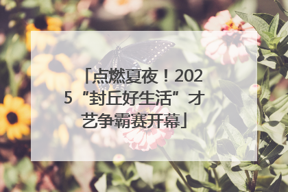 点燃夏夜！2025“封丘好生活”才艺争霸赛开幕
