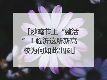 炒鸡节上“整活”！临沂这所新高校为何如此出圈